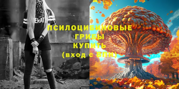 крисы Алексеевка