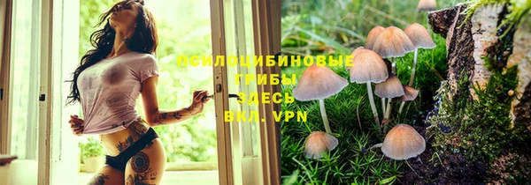 крисы Алексеевка