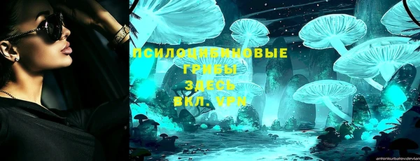 крисы Алексеевка