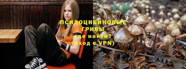 дурь Алексин