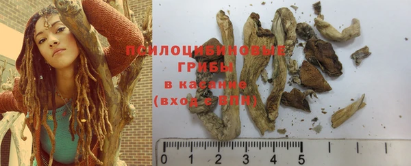 крисы Алексеевка