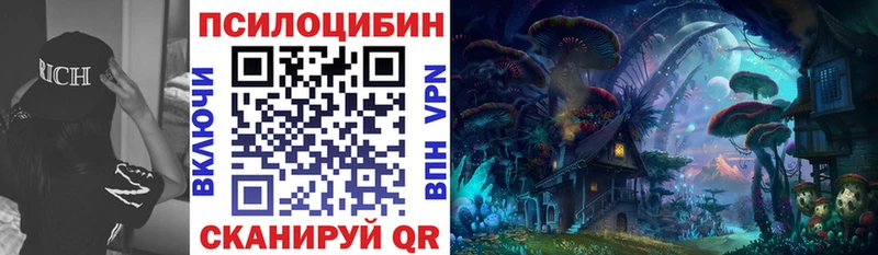 Псилоцибиновые грибы Cubensis Дубна