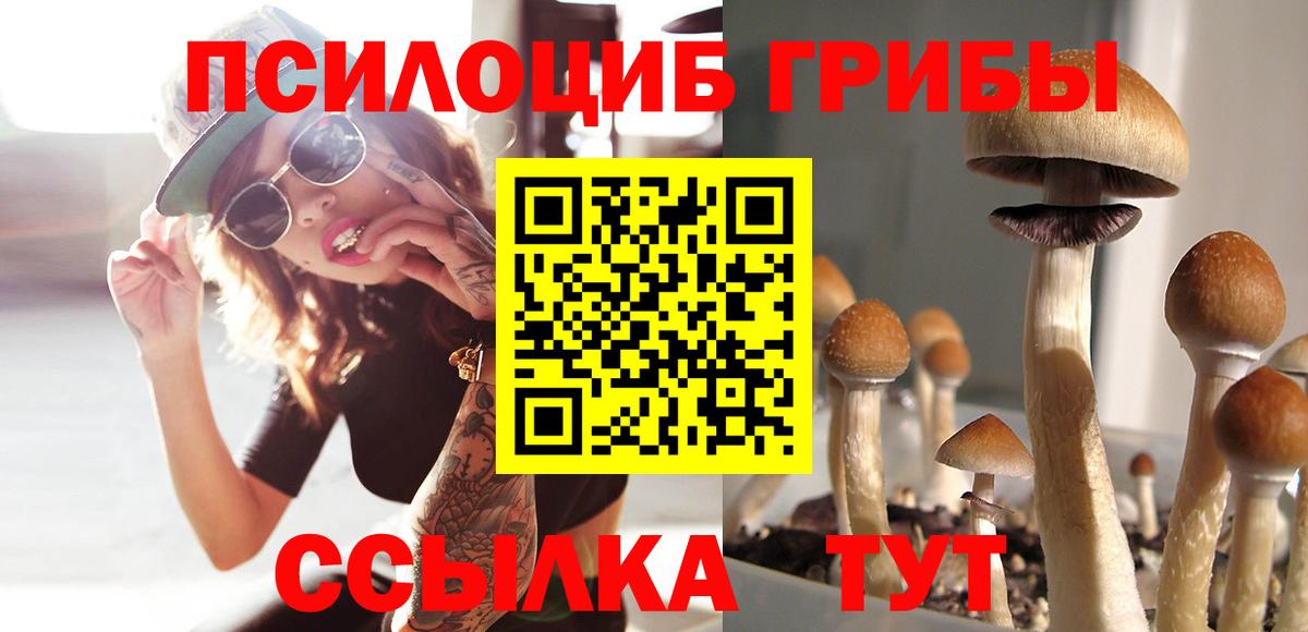 Галлюциногенные грибы мицелий  Галлюциногенные грибы Cubensis  Дубна  Вход с VPN 